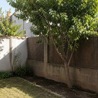 Juan Antonio Ramos, abogado: "Según la ley, el vecino no puede plantar ningún árbol a menos de dos metros de nuestro jardín"