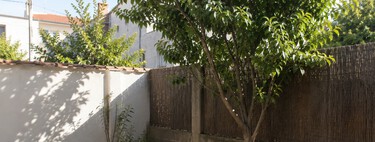 Juan Antonio Ramos, abogado: "Según la ley, el vecino no puede plantar ningún árbol a menos de dos metros de nuestro jardín"