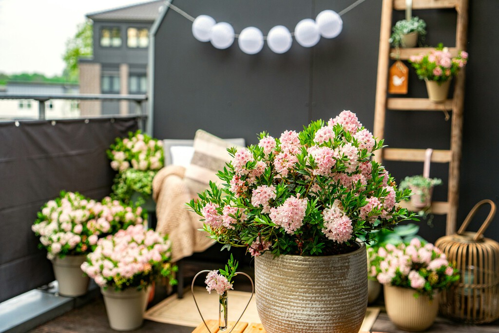 Esta estantería de Lidl por menos de 22 euros es ideal para crear un jardín en balcones o terrazas pequeños