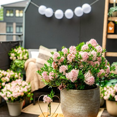Esta estantería de Lidl por menos de 22 euros es ideal para crear un jardín en balcones o terrazas pequeños 