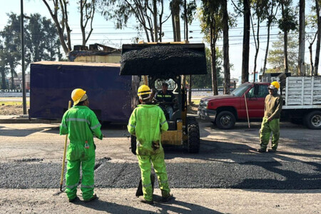 Baches 2