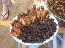 De tapas por Camboya