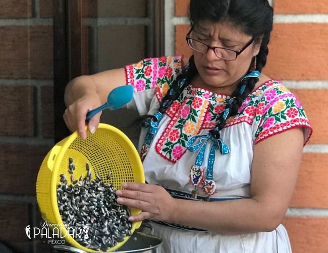 com hacer tortillas en casa y nixtamalizar