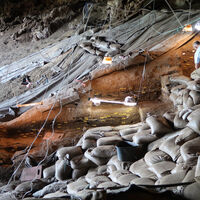 Una cueva remota de África ha revelado algo sobre los humanos de hace 200.000 años: ya cambiaban la ropa de sus camas