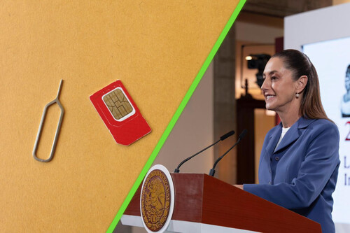 Los chips deben registrarse a nombre de sus dueños