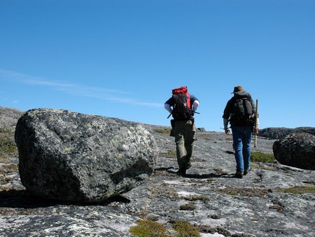 Se encuentra la evidencia de vida más antigua en la Tierra