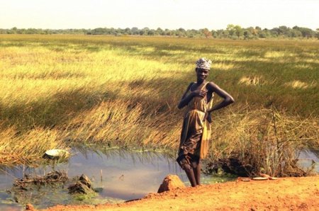 ACTA se presenta en África de la mano de los lobbies