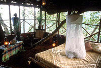 tree house.jpg