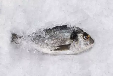 No, no vas a pillar Anisakis comiendo pescado bien congelado o cocinado: esto es lo que debes hacer