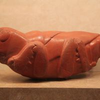 En 1891, en la zona de manantiales de Chapultepec, se encontró la figura de un chapulín tallado en cornalina roja. Esta escultura es una de las obras maestras del arte prehispánico 