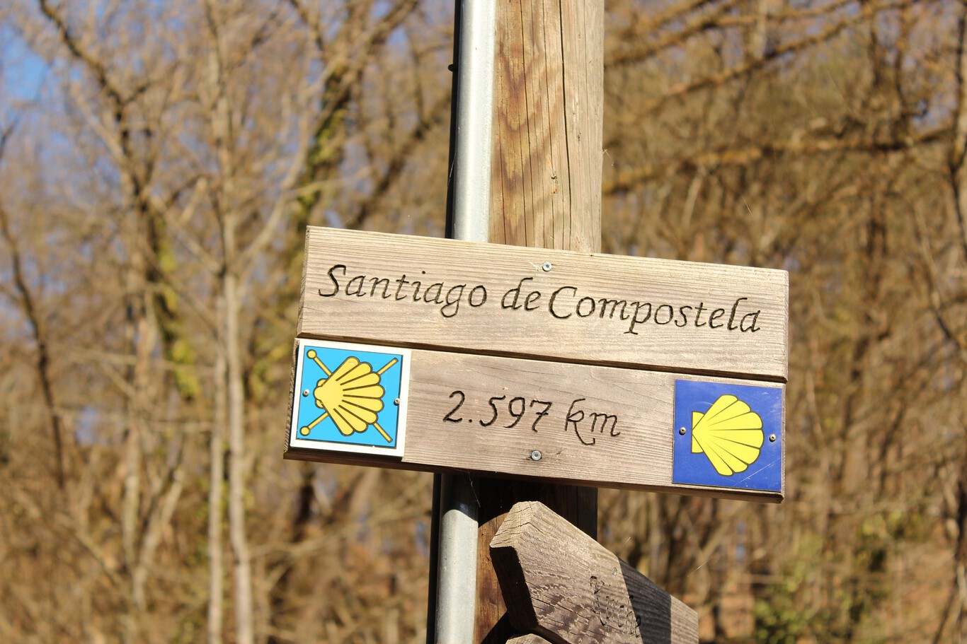 Todos los imprescindibles que debe contener tu mochila para hacer el Camino de Santiago