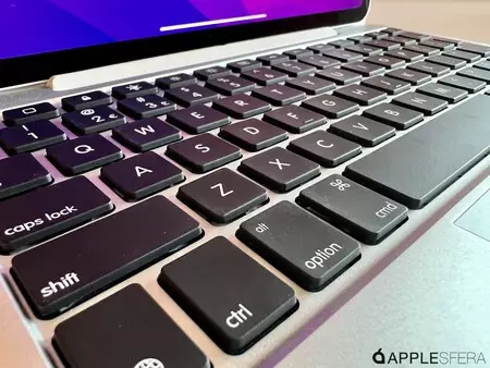 ブリッジ MAX+ ケース