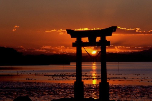 Siete cosas que me resultaron chocantes en mi primer viaje a Japón