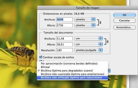 Truco: mejora la calidad de tus fotos al reducirlas y ampliarlas en Photoshop