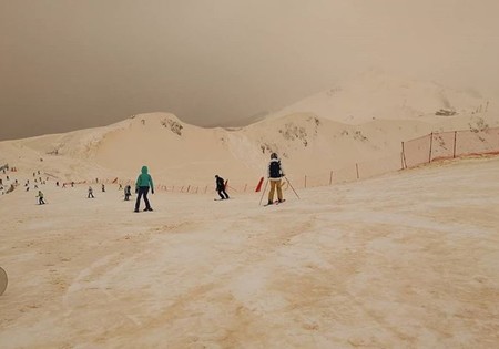 Nieve Naranja 2