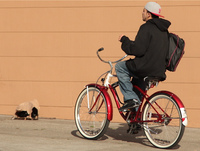 Las ciudades más "bici-friendly" de Estados Unidos 