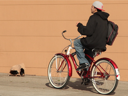 Las ciudades más "bici-friendly" de Estados Unidos 