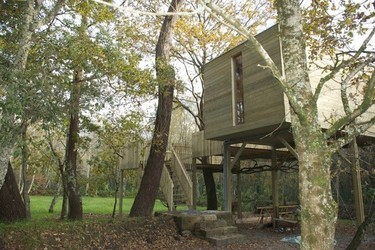 Si de niño no tuviste casita del árbol, ponle remedio con una escapada al bosque 