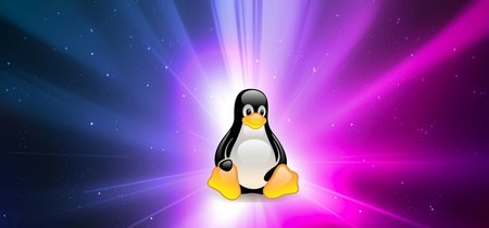 El mundo Linux se tambalea ante un nuevo código de conducta que plantea el fin de la meritocracia 