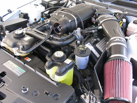 Livernois Shelby Mustang GT800R