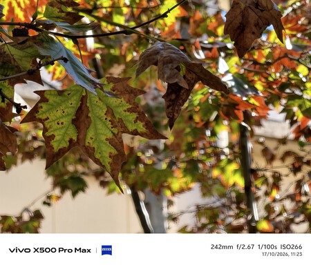 Vivo X500 Pro Max
