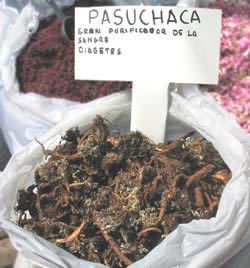 Pasuchaca