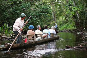 Amazonia 2
