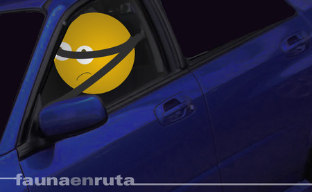 fauna en ruta - Cómo ponerse el cinturón de seguridad