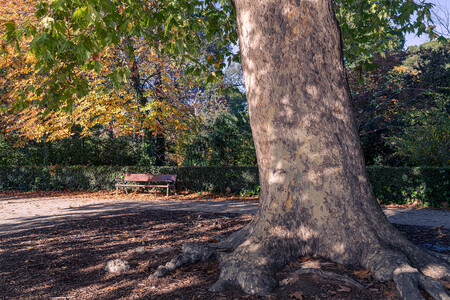 Cómo usar el nuevo panel Gradación de color de Camera RAW y Lightroom para mejorar nuestras fotografías