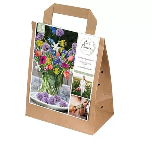BULBOS ESPECIALES FLOR CORTADA X40