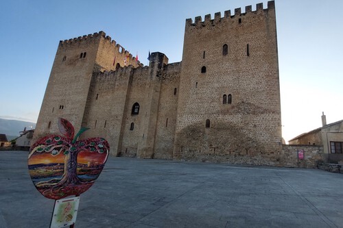 Medina De Pomar Alcazar De Los Velascos