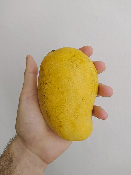 Lánzate por un mango enchilado a la Feria del Mango a este destino de Veracruz rodeado de selva, cascadas y pozas naturales ideales
