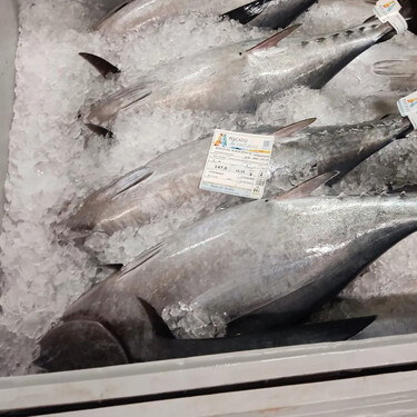 Ya ha llegado el primer bonito de la temporada a Asturias: a 398 euros el kilo y vendido en Avilés 