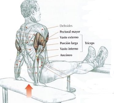 Trabajar triceps con mancuernas
