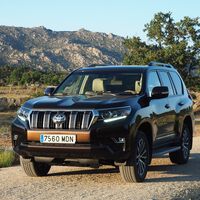 Salimos a "pasear" con el Toyota Land Cruiser Limited: entre fincas anduvo el juego 