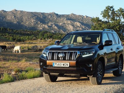 Salimos a "pasear" con el Toyota Land Cruiser Limited: entre fincas anduvo el juego 