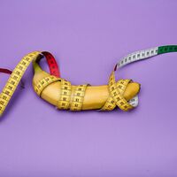 La ciencia lleva años midiendo si el tamaño importa. Un estudio con simulación 3D tiene la respuesta más completa 