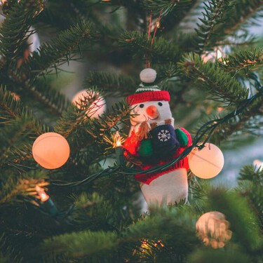 Cuándo se pone el árbol de Navidad, según la tradición católica: esta es la fecha correcta y su verdadero significado