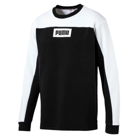 Puma1