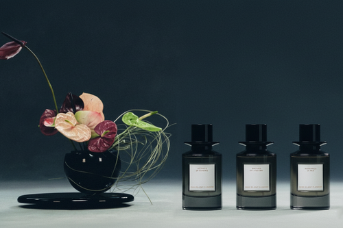 Gemini Generated Image 358byp358byp358b