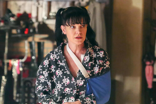 Ncis Abby