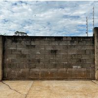 Paradoxo da segurança: por que o muro alto da sua casa pode estar colocando você em mais perigo 