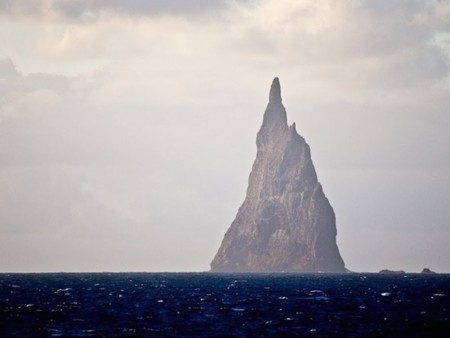 El bicho más raro del mundo se encontró en una pirámide en el mar