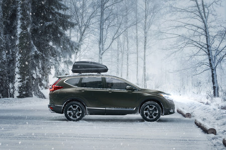 Crv17
