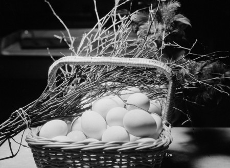 Ingresos recurrentes y diversificación, dos ingredientes necesarios para el freelance