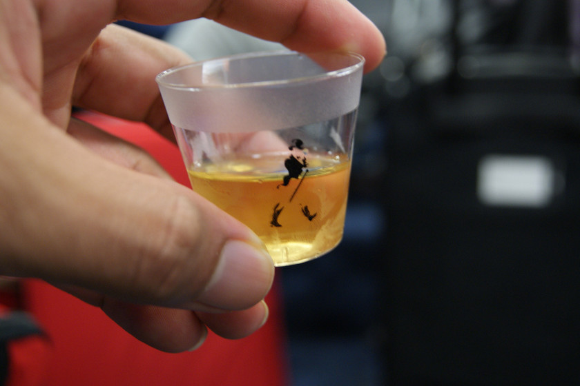 ¿Qué es lo correcto? ¿Whiskey o Whisky?