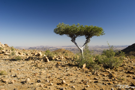 Descubriendo el interior de Namibia por carretera: 32 imágenes de una ruta inolvidable