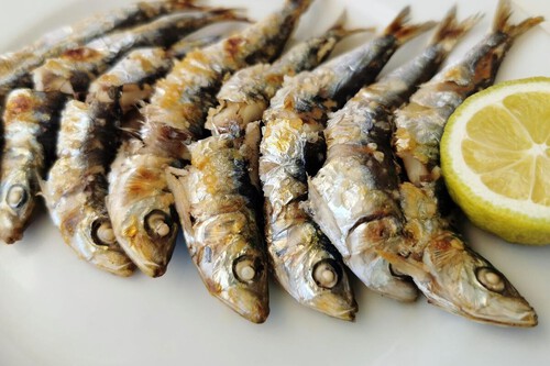 Sardinas