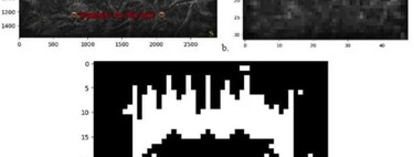 Estudante de biologia consegue rodar Doom em uma bactéria 