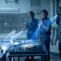 'Alien: Planeta Tierra' ha introducido terroríficos aliens nuevos. Para su creador, era necesario para no repetirse